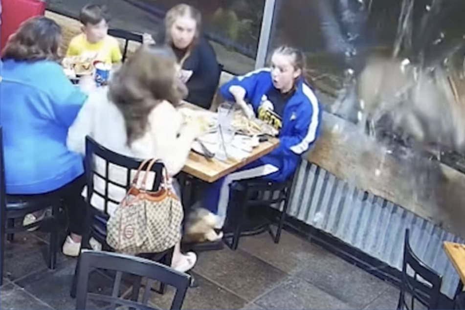 Deer crashes Tennessee families' celebratory dinner in surreal video!