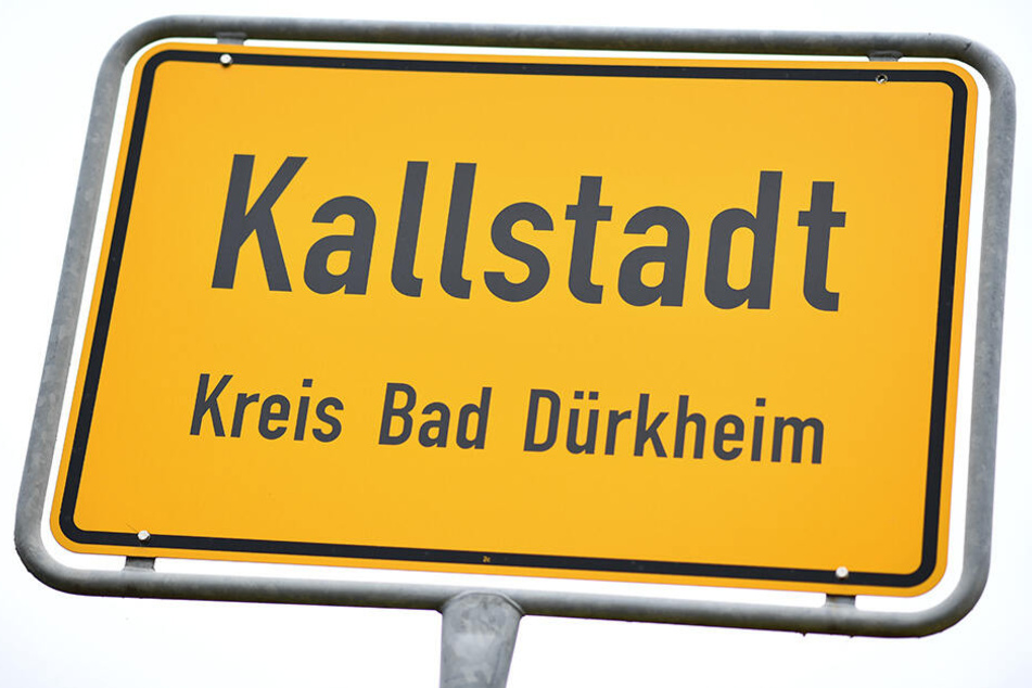 Die Großeltern des US-Präsidenten stammen aus dem pfälzischen Kallstadt.