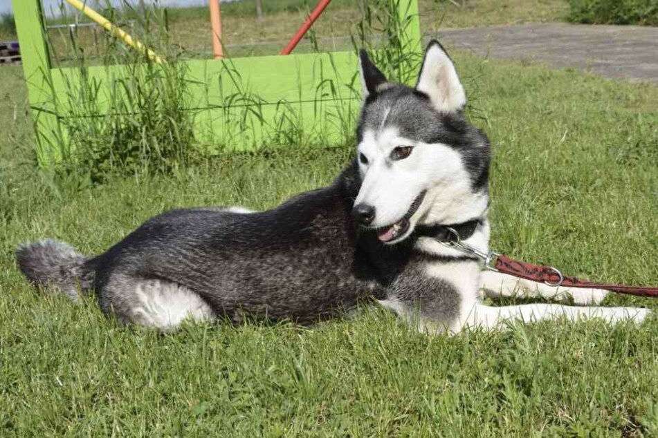 Tuva verschwand im Dezember, musste danach in schlechten Verhältnissen leben.