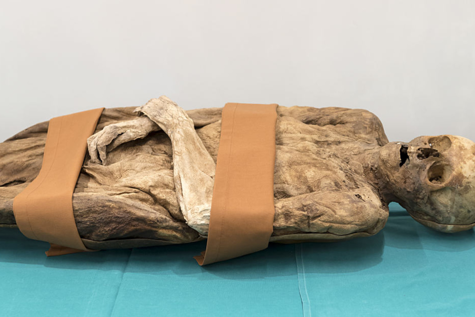 Das sind die sterblichen Überreste von Anna Catharina Bischoff.