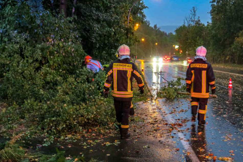Auch Bäume stürzten durch das Sturmtief auf Straßen.