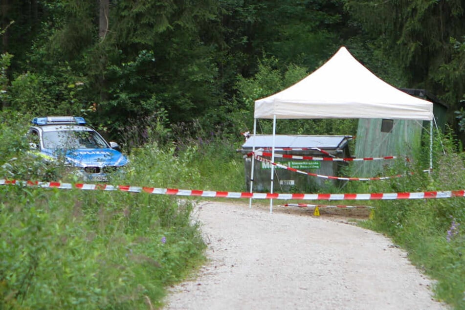 In einem Waldstück bei Lauf fand ein Pilzsammler die Leiche. Nach neuen Informationen soll sie hier nur abgelegt worden sein.