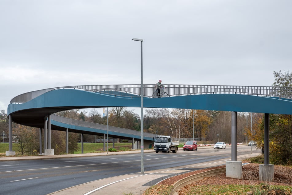 Für den Bau des neuen Premiumradwegs werden diese Woche Ausgleichspflanzungen durchgeführt.