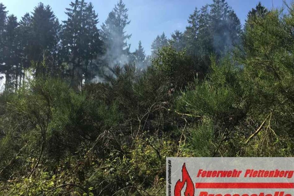Der Brand hatte sich auf einer Fläche von etwa 3000 Quadratmetern ausgebreitet.