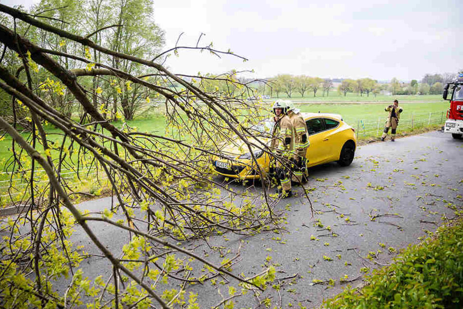 Äste und Bäume lagen in ganz Sachsen nach dem Sturm auf Straßen und Gleisen - wie hier in Seifersdorf.