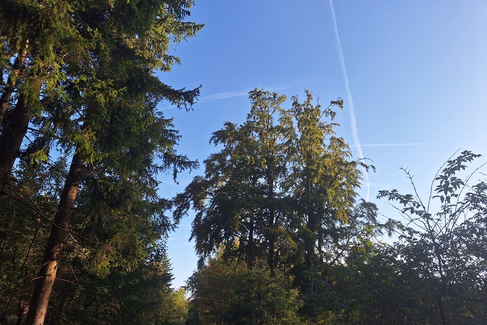 Viel blau, viel Sonne, dazu angenehme Temperaturen: Das Wochenende in Thüringen lockt zu Ausflügen in der Natur oder zum Einfach-Draußen-sein. (Symbolbild)