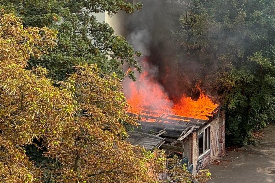 Diese leerstehende Hütte an der Dresdner Straße geriet am Sonntagnachmittag in Brand.