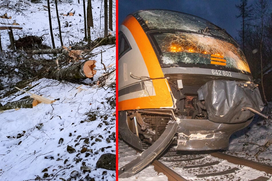 Zug rast in Sachsen gegen umgestürzten Baum: Zugführer im Krankenhaus!