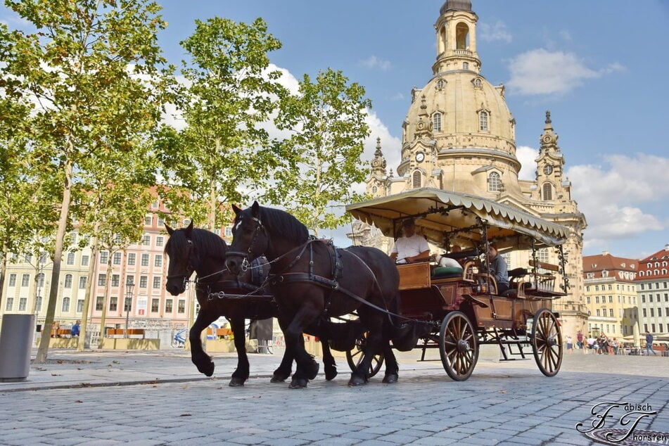 Kutschfahrten sind in Dresden sehr beliebt bei Touristen und auch bei Hochzeitspaaren.