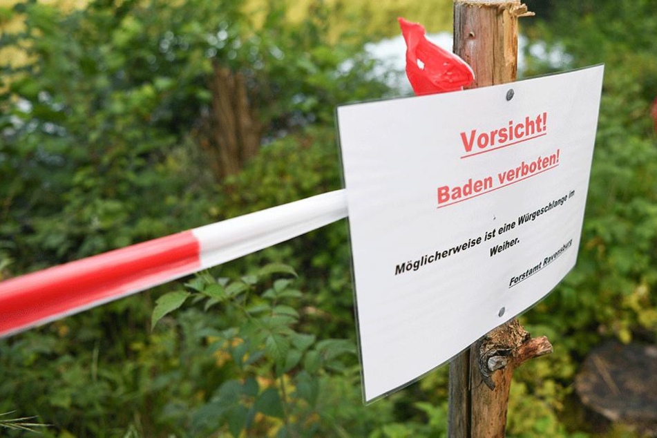 Das Rätsel um eine angeblich bei Ravensburg gesichtete Würgeschlange ist noch nicht gelöst.