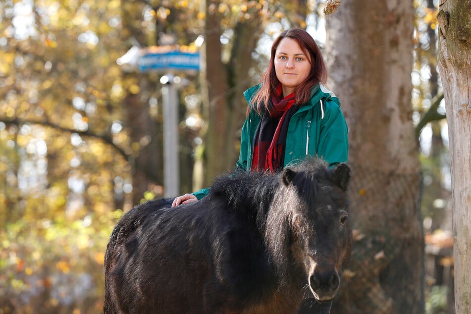 Tierpark-Chefin Jessica Stegemann (31) will die Sicherheitsmaßnahmen weiter erhöhen.