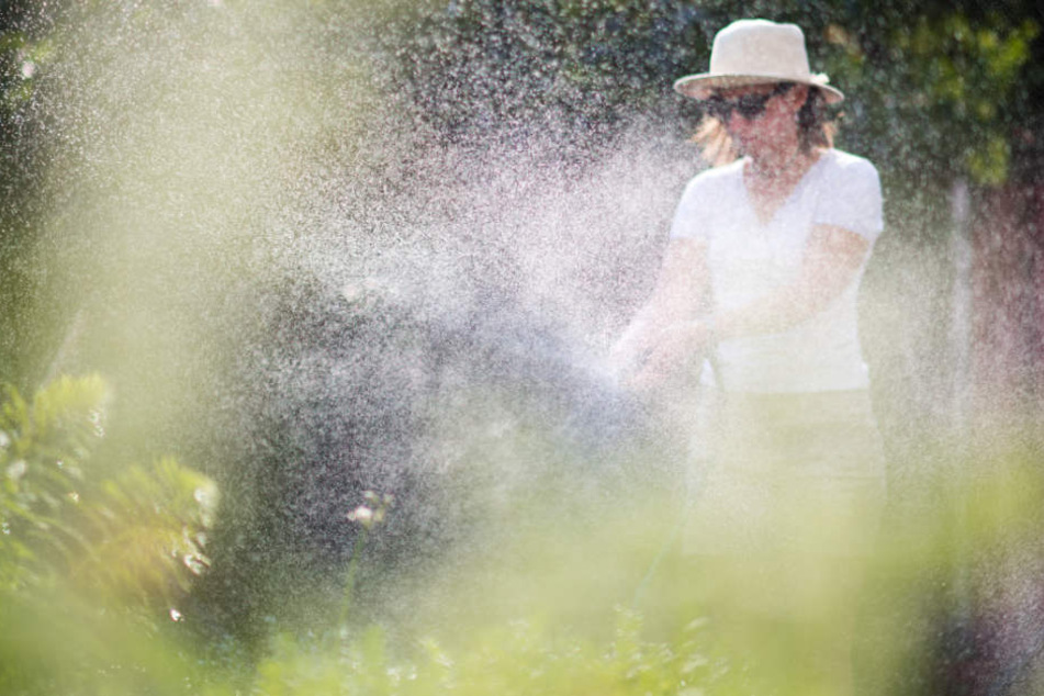 Die anhaltende Trockenheit wird teuer: Der Wasserverbrauch ist im Hitze-Sommer 2018 deutlich angestiegen.