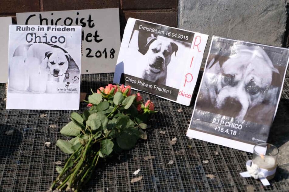 Am Sonntag hatte es in Hannover eine Mahnwache für den eingeschläferten Hund gegeben, der zwei Menschen tot gebissen hatte.