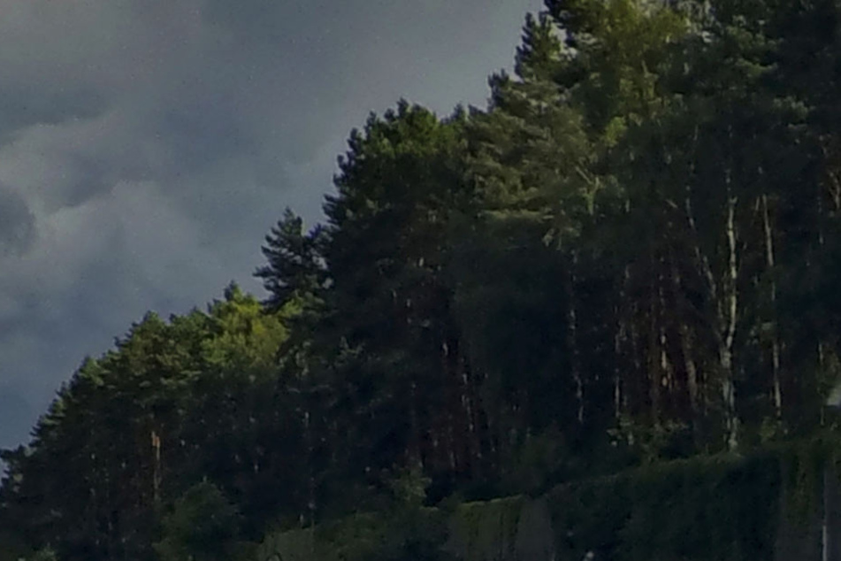 Ein Baum ist bei dem Unwetter in Mecklenburg Vorpommern auf ein Zelt gekracht (Symbolbild).