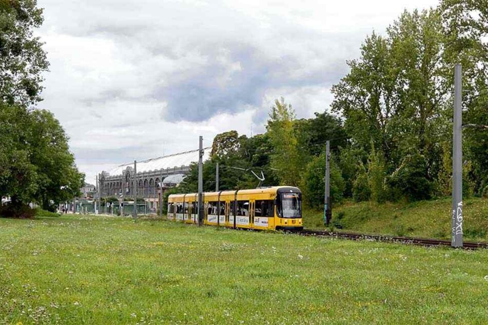 Auf der Fläche hinter den Straßenbahn-Gleisen soll das Fernbus-Terminal gebaut werden.