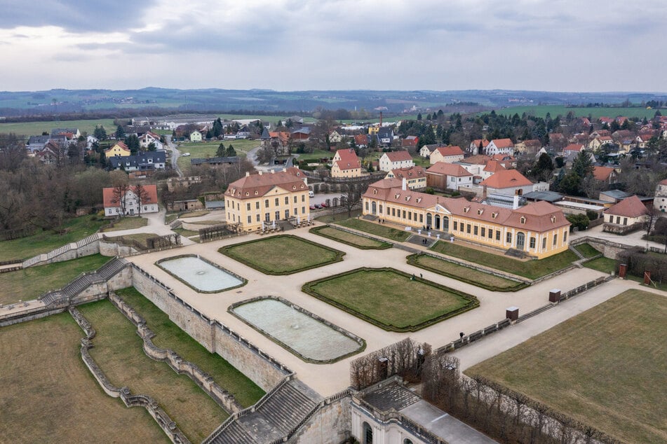 Noch bis Juni verbleiben die Orangenbäume im Barockgarten Großsedlitz.