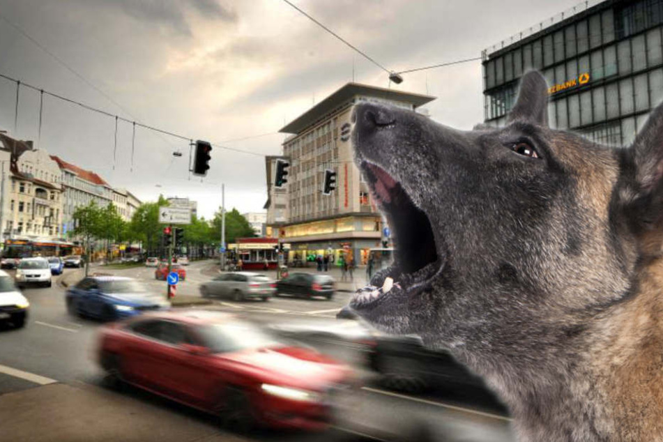 Das Bellen des Hundes machte den Unbekannten aggressiv. (Symbolbild)