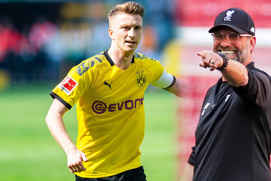 Marco Reus (links) ist Fußballer des Jahres. Sein Ex-Trainer Jürgen Klopp Trainer des Jahres.