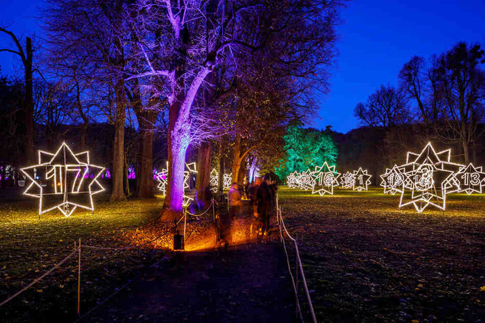 Die Zahlen auf den leuchtenden Sternen verraten es: Auf dieser Wiese erstrahlt ein Adventskalender.