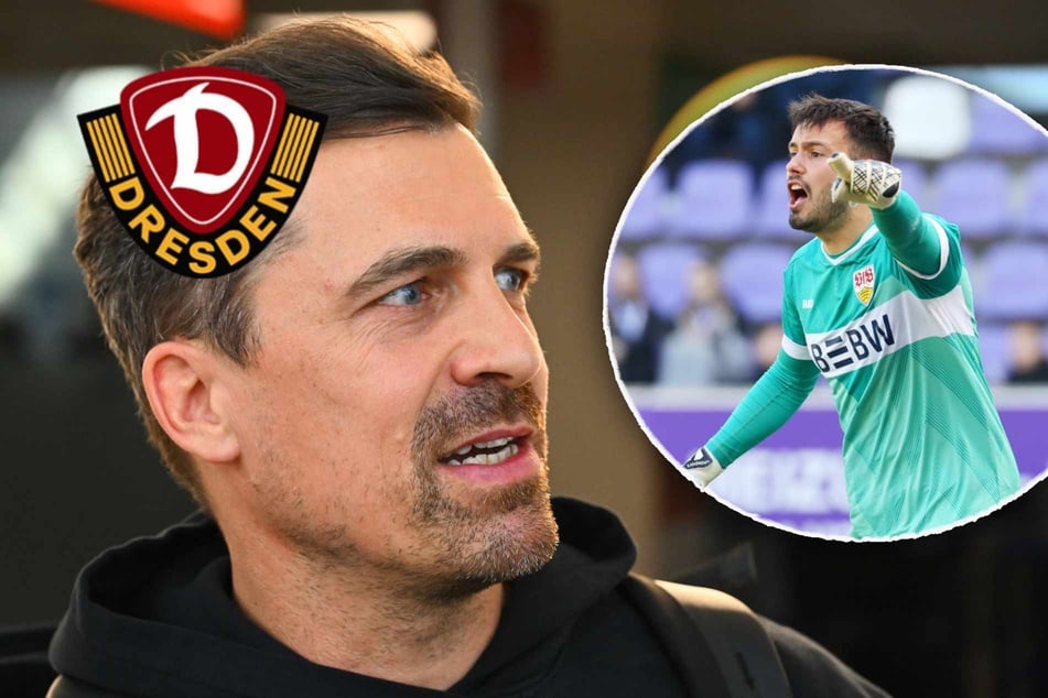 Dynamo-Coach Stamm stellt weitere Transfers in Aussicht: Kommt Drljaca zurück?