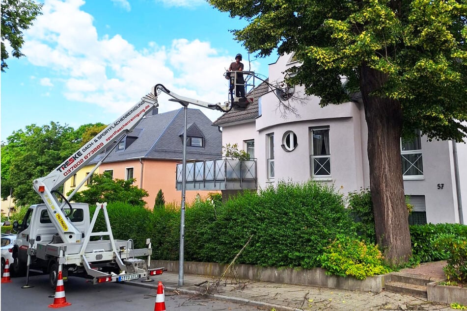 Treske Baum- &amp; Landschaftspflege freut sich über viele Bewerber.