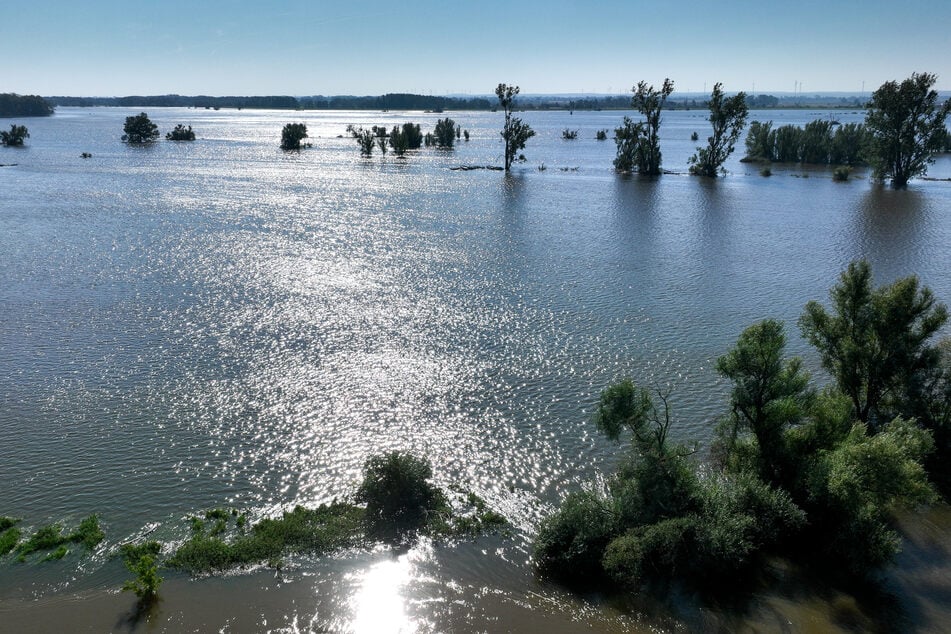 Von einem möglichen Jahrhunderthochwasser wäre Sachsen-Anhalt stark betroffen.