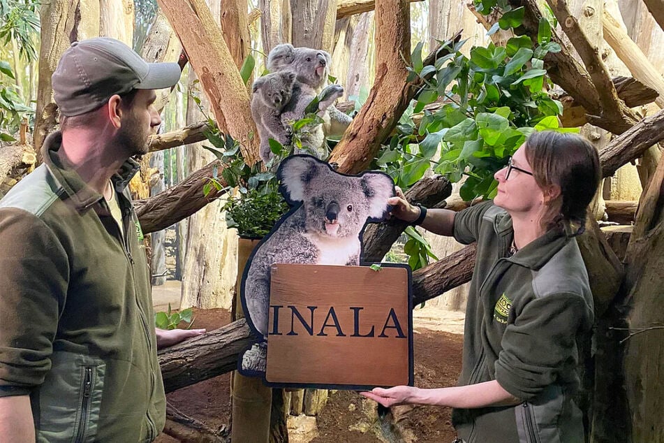 Philipp Hünemeyer und seine Kollegin enthüllten gemeinsam den Namen des Koala-Mädchens.