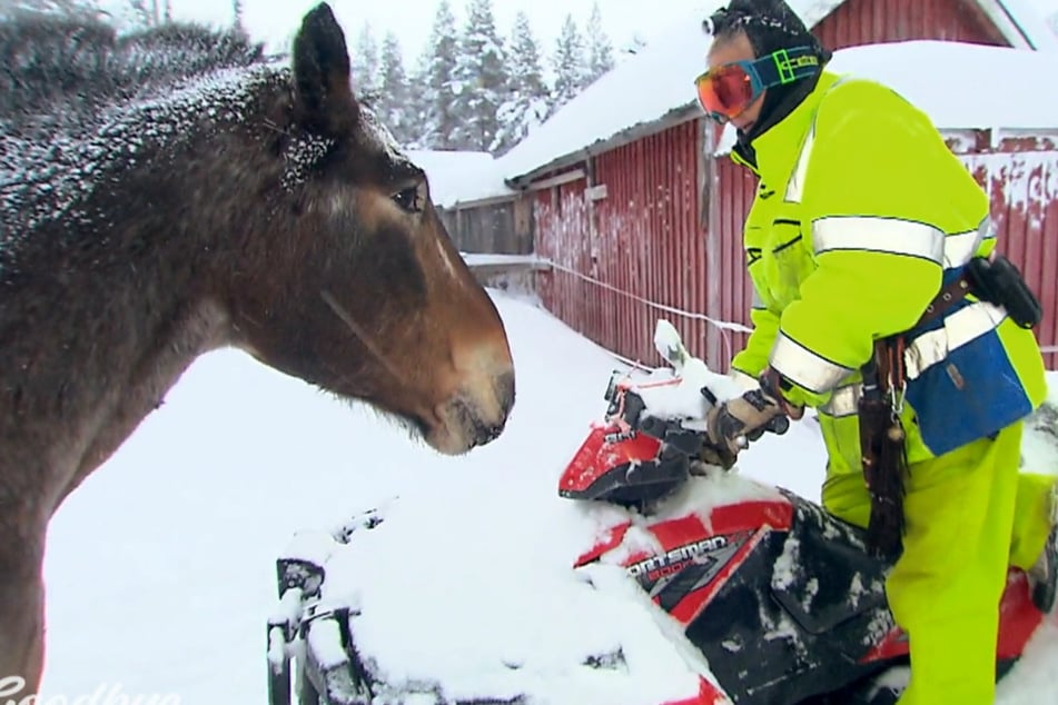 Im Norden Schwedens kann es im Winter bis zu minus 50 Grad kalt werden.