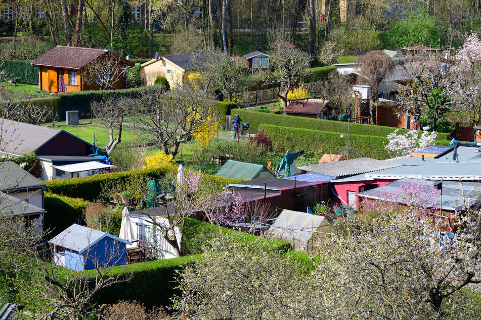 Gartenlauben in Kleingärten sind nicht zum Bewohnen gedacht.