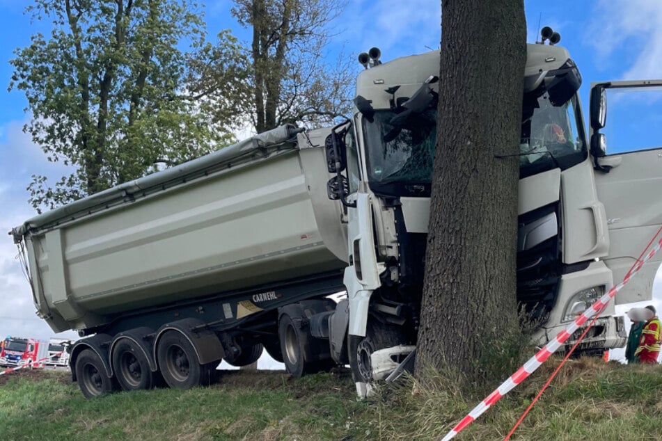 Schwerer Crash in Großhartmannsdorf (Landkreis Mittelsachsen): Ein Lkw knallte frontal mit einem Baum zusammen.