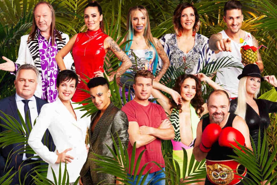 Dschungelcamp 2020: Das verdienen die Stars bei "IBES"