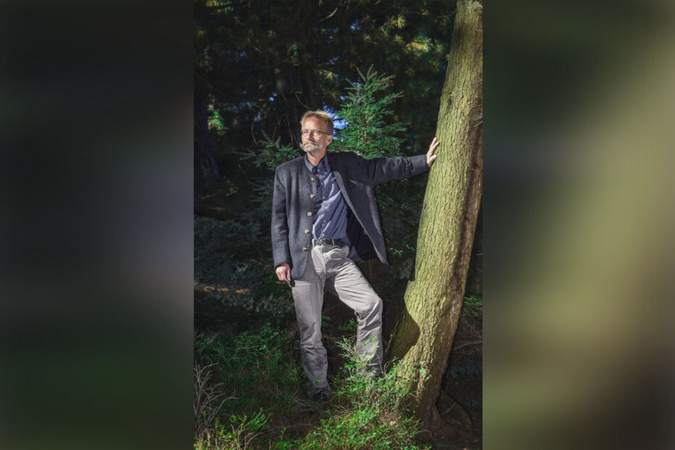 Prof. Andreas Roloff (64) verleiht Bäumen den Titel des Nationalerbes.