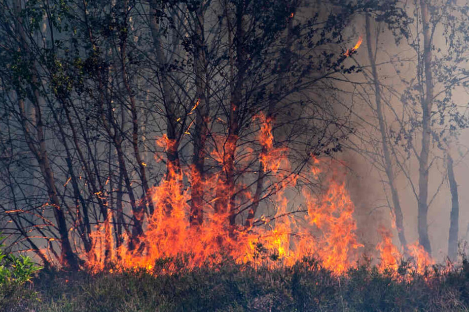 Waldbrände sind eine Erscheinung des Klimawandels.