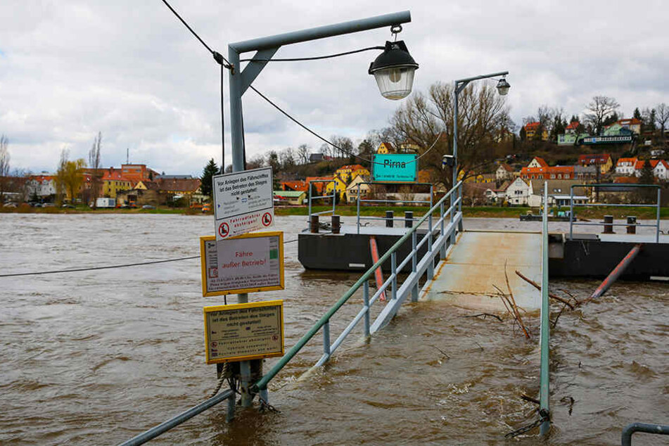 Plötzlich hatte die Elbe in Pirna wieder Wasser.