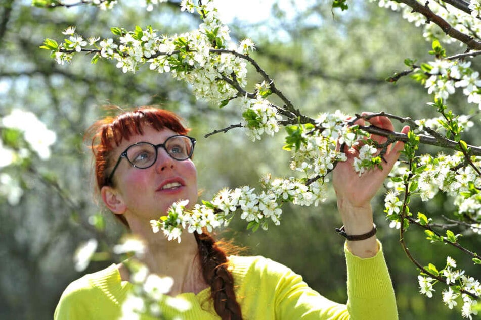 Susann Enzmann (37) vom Verein "Naturhof Chemnitz" auf einer Streuobstwiese in Glösa-Draisdorf.