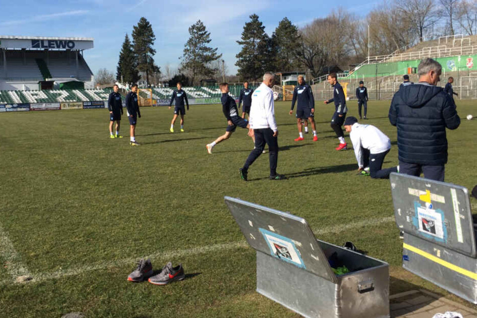 Bei strahlendem Sonnenschein wärmen sich die Hoffenheimer im Alfred-Kunze-Sportpark auf.
