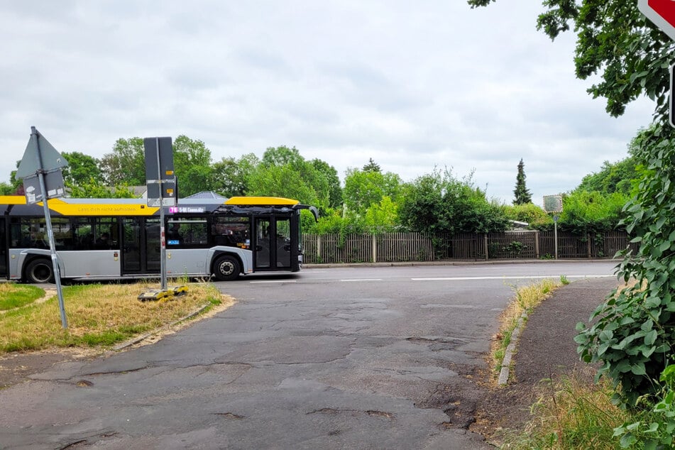Der Autofahrer wollte nach links abbiegen und übersah dabei einen Bus.