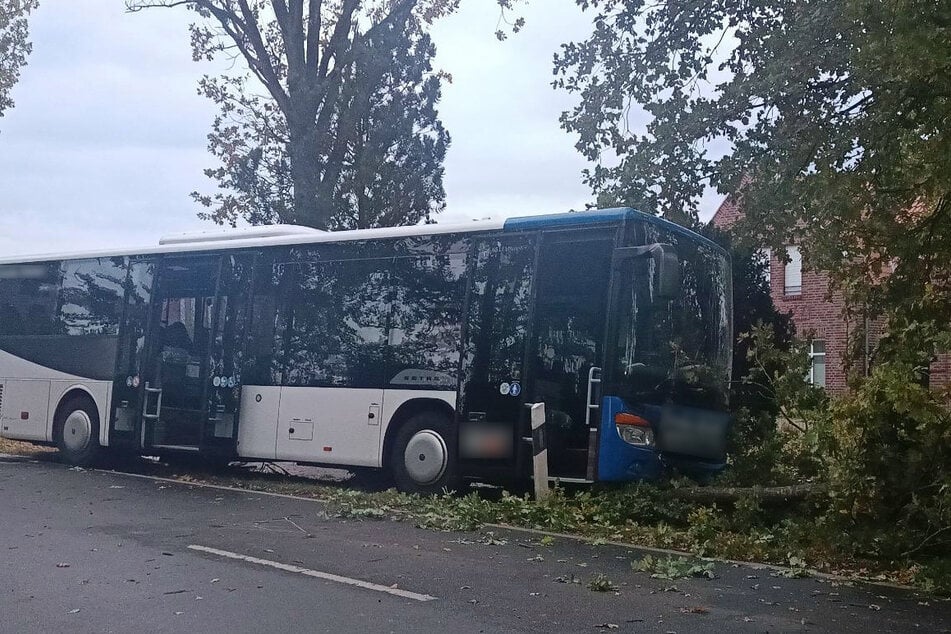 Ein Kind geriet in Westerstede mit seinem Rad auf die Straße und wurde von einem Bus erfasst.