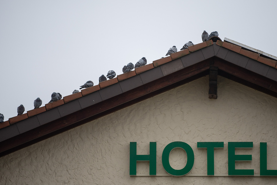 Mehrere Bundesländer planen wieder Öffnungen im Bereich der Hotellerie sowie Gastronomie.
