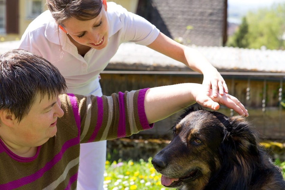 Therapy dogs can provide compassion, security, and safety.