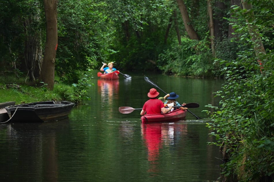 Eine Paddeltour durch den Spreewald ist aktuell nur eingeschränkt möglich. (Archivfoto)
