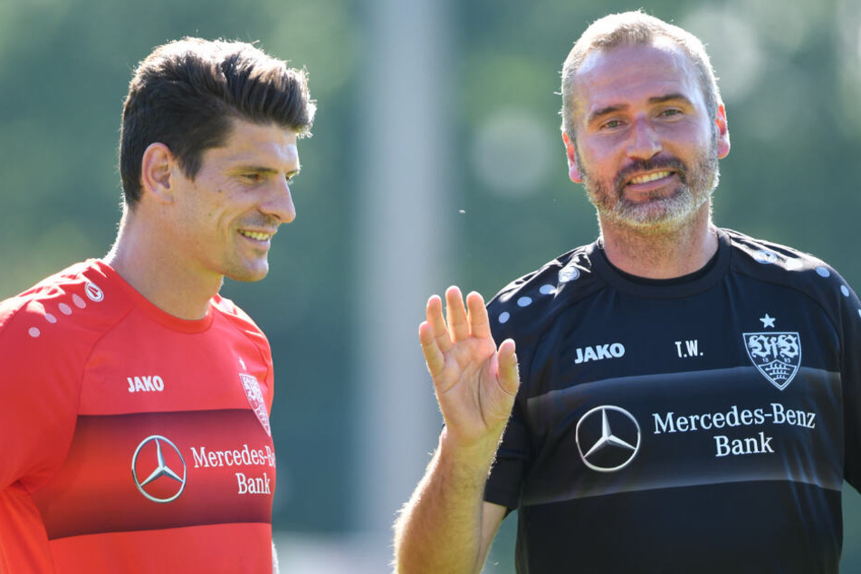 Am Mittwoch trainiert Gomez wieder mit der Mannschaft, so Tim Walter (rechts).