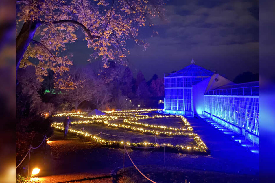 Romantische Stimmung in Pillnitz.