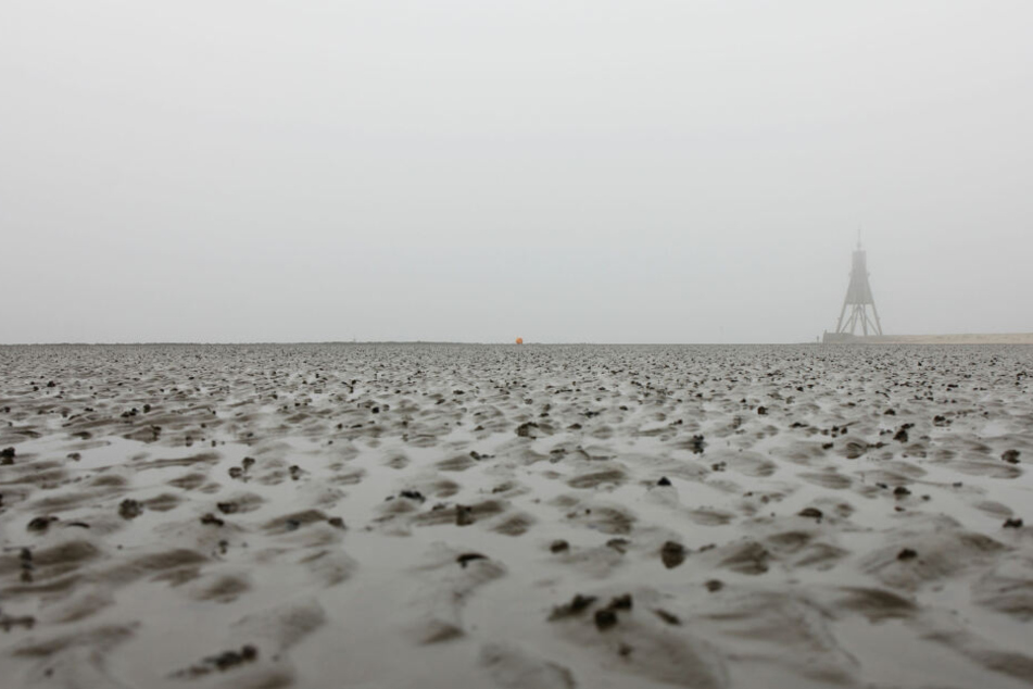 Das Wattenmeer in Cuxhaven an einem nebligen Tag (Symbolbild).