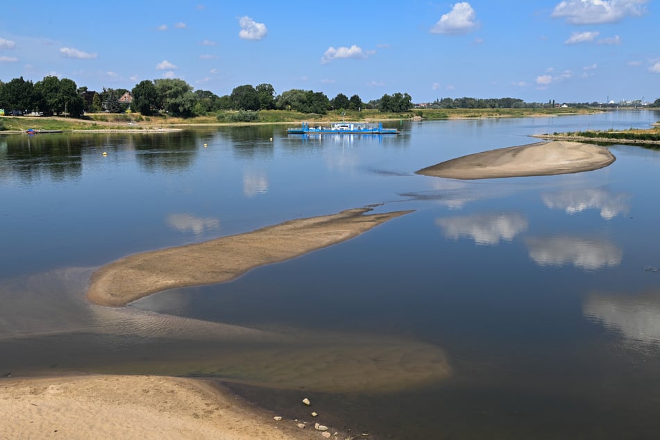 Baderatten können sich am Elbufer abkühlen. (Archivfoto)