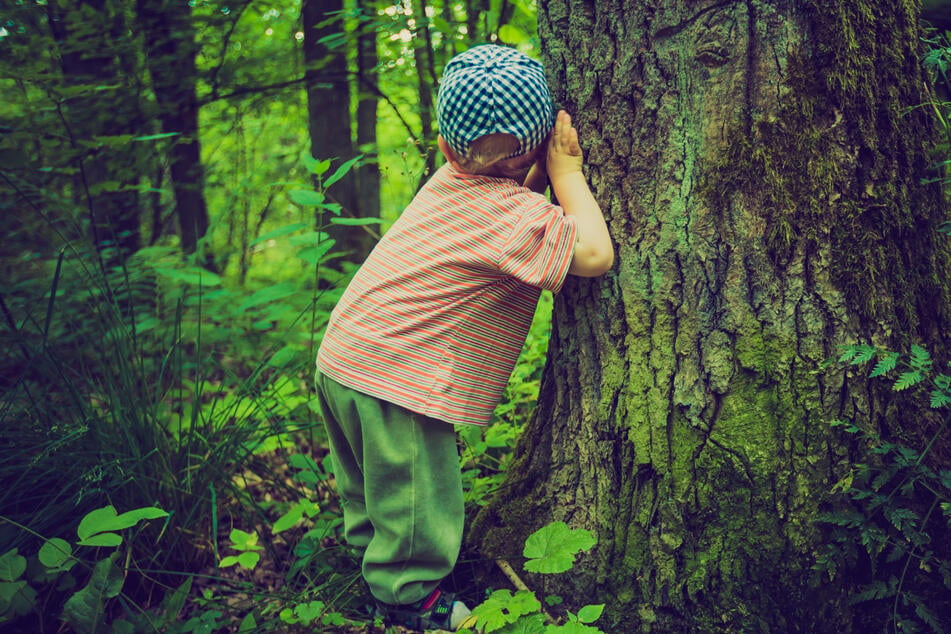 Eine Gruppe von Kindern hat in einem niedersächsischen Waldstück Hilfeschreie gehört. (Symbolbild)