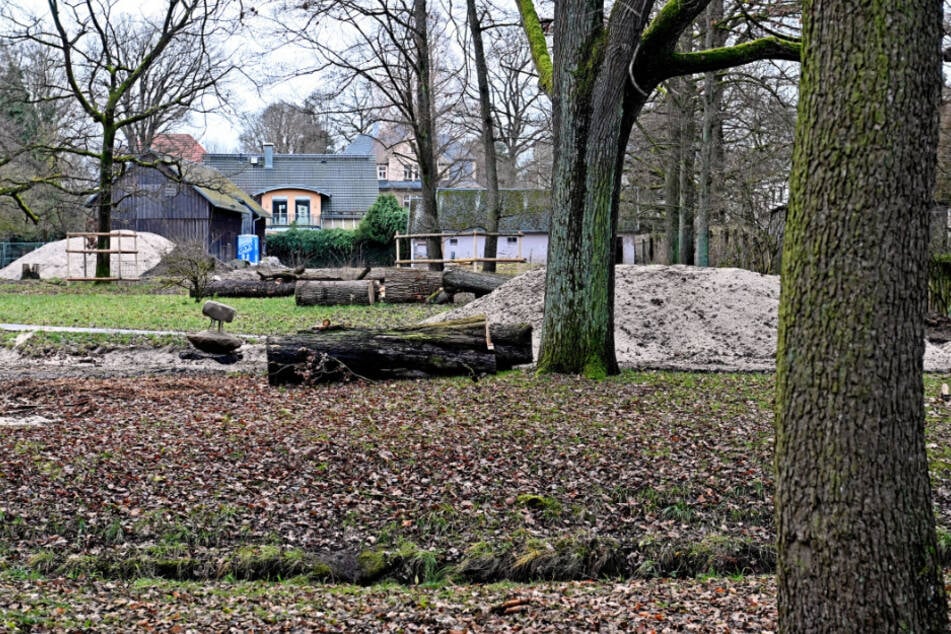 Auf dem Tierparkgelände entsteht gerade der Erlebnisauernhog, der im kommenden Jahr fertiggestellt wird.