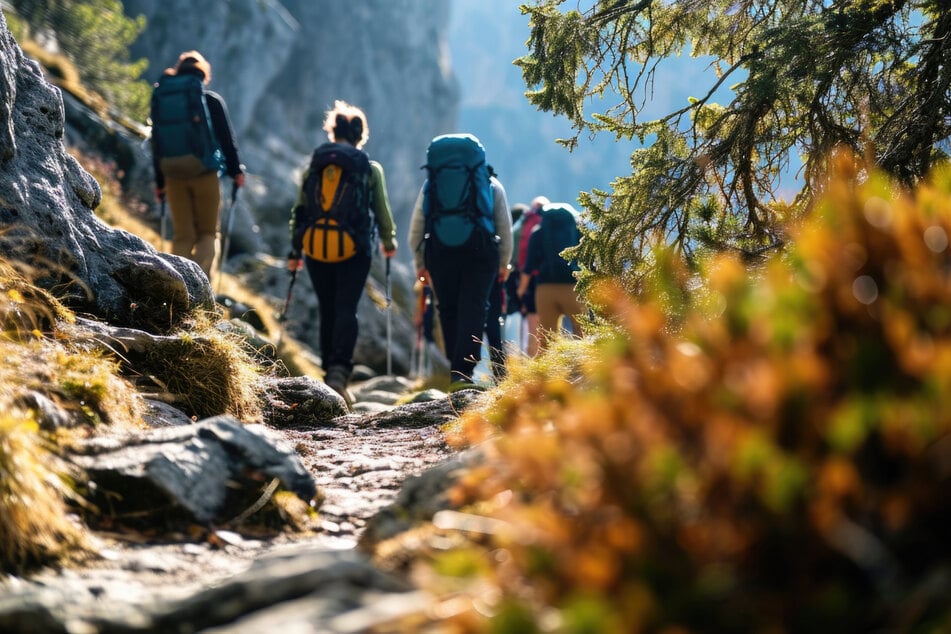 Während einer Tour im Gebiet des Mount Batukaru wurde die Wandergruppe plötzlich von einem streunenden Hund attackiert. (Symbolbild)