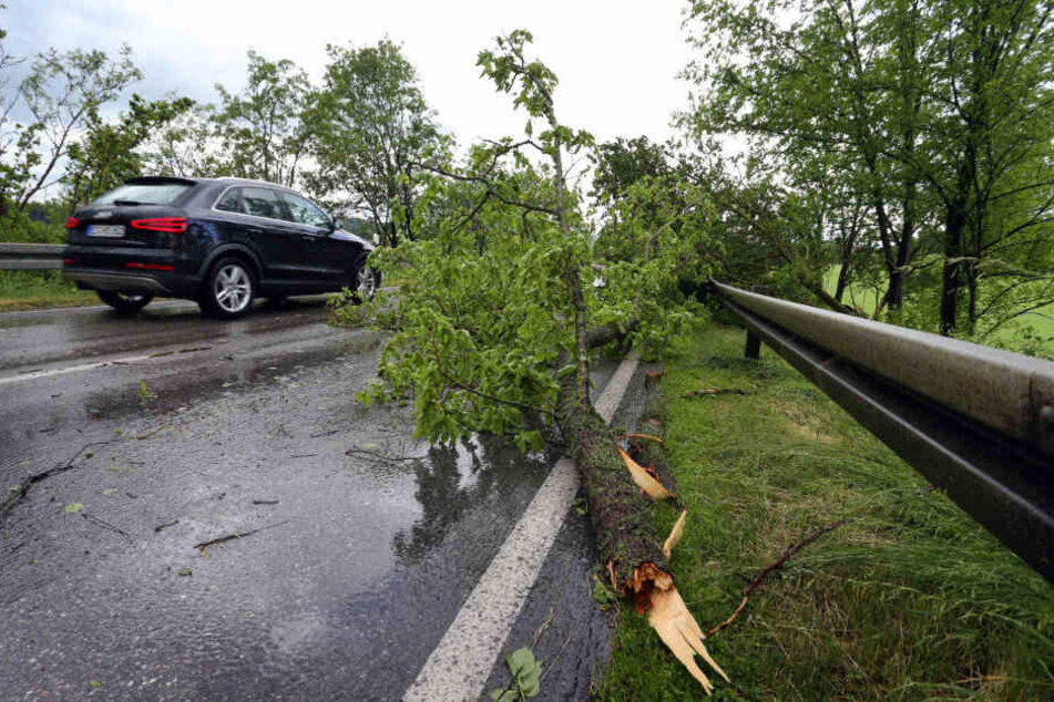 Ein umgeknickter Baum liegt auf einer Straße bei Biessenhofen.