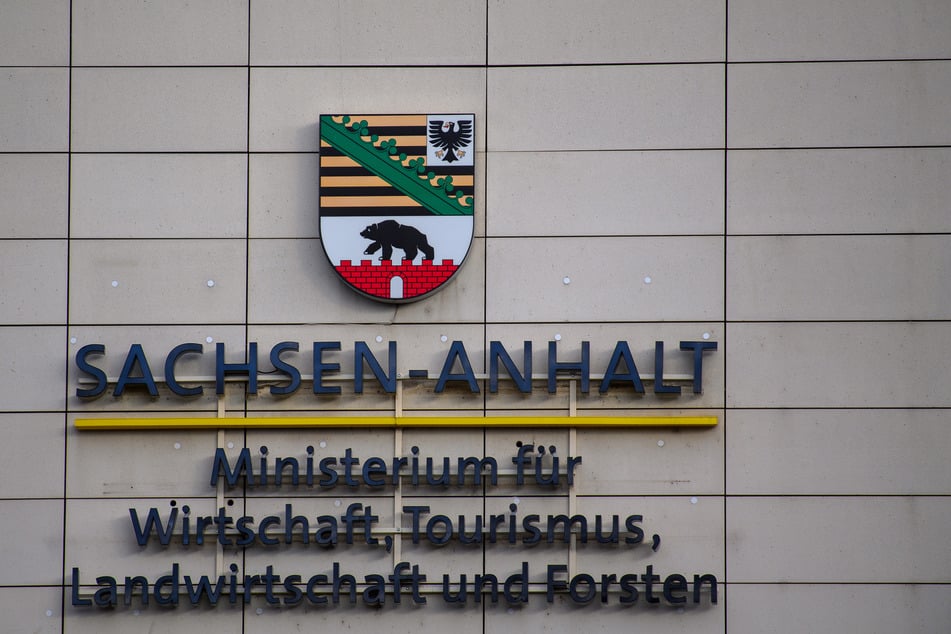 Mehrere Internetseiten von Sachsen-Anhalts Ministerien wurden durch einen Hackerangriff lahmgelegt.